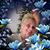 Lisa Crippen's profile image