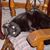 Donna Marie's profile image