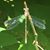 Anita Bailey's profile image