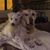 Michelle Kerr Steinbach's profile image