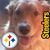 Ken Kunselman's profile image