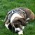 Ralph Koontz's profile image