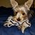Jeannie Murray's profile image
