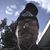 Dicki Carl Dean Smeed's profile image