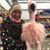 Pam Neihardt Steele's profile image