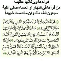 Madiha Gobashi's profile image