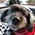 Carla McComb's profile image