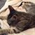 Cathy Miller's profile image