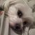 Myo Young Judith Kim's profile image