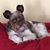 Pat Clark's profile image