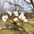 Teresa Wright's profile image