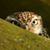 Thomas W Ohlrogge's profile image