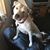Robin Wilke's profile image