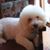 Sonja L. Nemeth's profile image