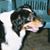 W Trent Pokorny's profile image
