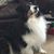 Brenda Causer's profile image