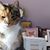 Teresita Bee's profile image