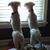 Carolyn Montanaro's profile image
