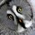 Marti Johansen Frank's profile image