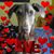 Lori Wolfy-Appulz Von Strudel-Rose's profile image