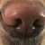 Leslie Carol Berg Weiss's profile image