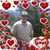 Judy Cossack's profile image