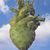 Raf INopalzin López's profile image