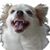 Jennifer Englert Shibona's profile image