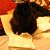 Ghostcat Boo's profile image