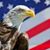 Pat Davis's profile image