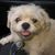 June Crusan-Schuster's profile image
