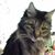 Marilyn Bentley's profile image