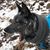 Christopher Gabrielson's profile image