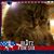 Julie Manning Mitchell's profile image