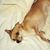 Becky L Mantei's profile image