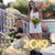 Stephanie Rehkopf's profile image