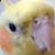 Craig McMurtry's profile image