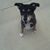 Donna Senick's profile image