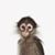 Jan Paepke's profile image