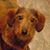Susan Kennedy's profile image