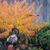 Denise Colburn's profile image