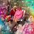 Diane Jeffrey Crosby's profile image