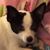Janice Marek's profile image