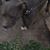 LeShaunte Shy Lockett's profile image