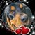 Adriana Villalobos's profile image