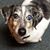Marilyn Brown's profile image
