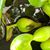 Heather M Barracliffe's profile image