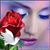 Reyna Amaya's profile image