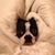 Heather Williams's profile image