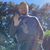 Brian Lancaster's profile image